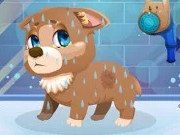 Stray Dog Care Game Online