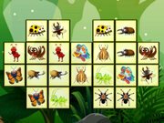 Connect the Insects Game Online