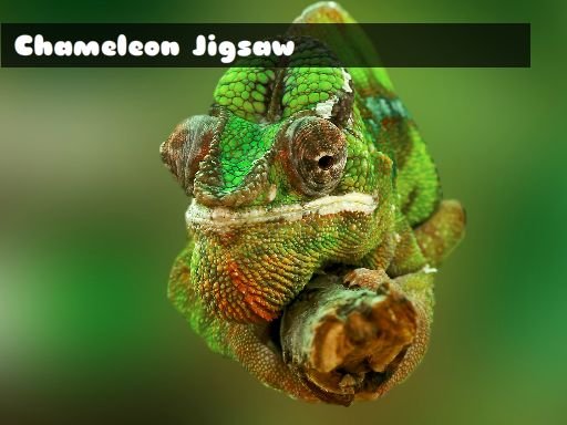 Chameleon Jigsaw Game